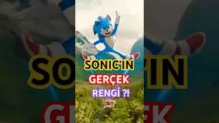 What Color Is Sonic Actually 🧐 Here Is His Real Color 🤫