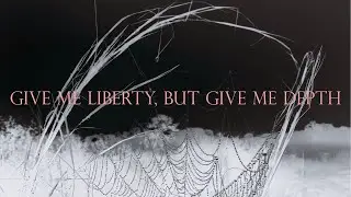 Frank Iero - Give Me Liberty, But Give Me Depth