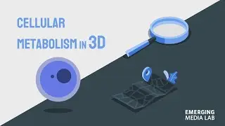 EML Spring Showcase 2022 - 3D Metabolism