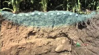 Nitrogen In Soil 