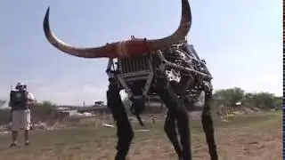 BigDog Olé