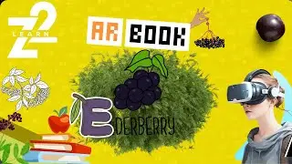 How AR Technology Brings Elderberries to Life for Kids!