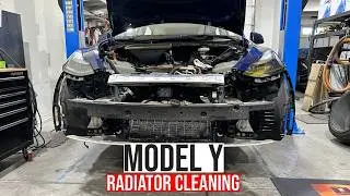 Tesla Model Y | DIY Radiator Cleaning