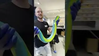 Alphabet Candy 