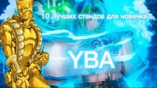 10 ЛУЧШИХ СТЕНДОВ ДЛЯ НОВИЧКОВ   YBA