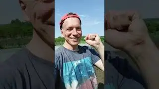 Вот оно счастье. Аж запел.