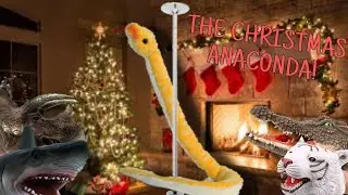 CT MOVIE: The Christmas Anaconda!