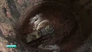 homemade oil
