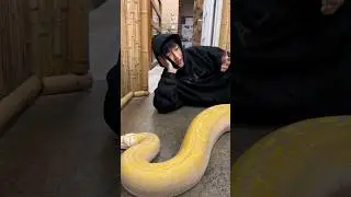 We are Venom? 