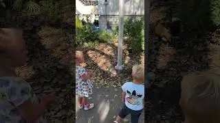 Видео с реакцией малышей на петухов #beachbaby #funnybaby #kids #beachplay #funnyclips #swimming