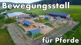 Bewegungsstall für Pferde | Reiterhof Kruberg