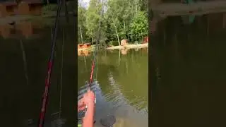 Поклёвка такая, что утащило удочку!!! 