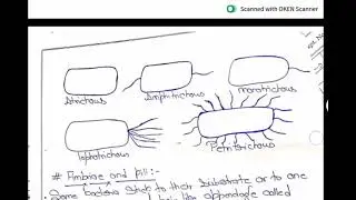 #Bacteria # bacteria notes explained with diagram.