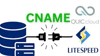 How to connect Quic Cloud CDN + LiteSpeed using a CNAME record 2023
