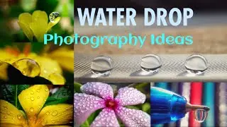 Water Drop Photography Ideas || Mobile Photography with water drops #shorts #youtubeshorts