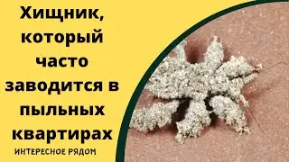 Интересное рядом
