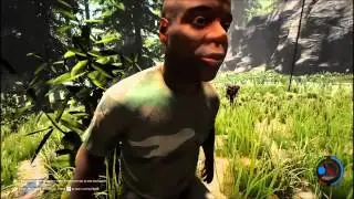 Um dia na Floresta (The Forest)