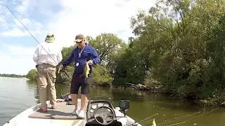 Best Post Spawn Largemouth Bass Technique