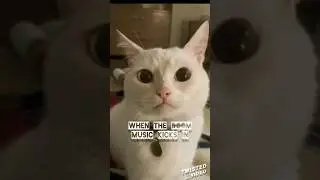 When the Doom music kicks in!!!