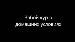 ОТЛИЧНАЯ ИДЕЯ ДЛЯ ФЕРМЕРОВ!!! Забой кур