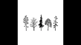 A Brief Introduction