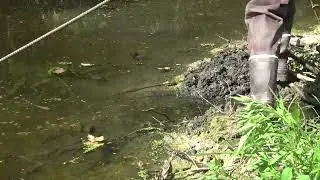 Summer Nuisance Beaver Trapping