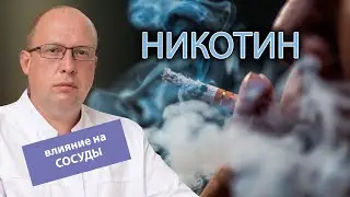🚬 Какое влияние оказывает никотин на кровеносные сосуды? 🩸