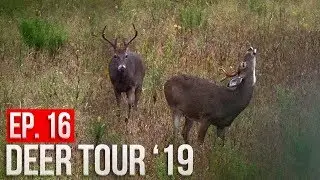 MICHIGAN PUBLIC LAND CHALLENGE! - Day 2: Adapting to Flooding, Finding Bucks!