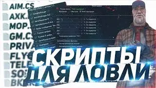 ПРИВАТНЫЙ СКРИПТ ДЛЯ ЛОВЛИ ДОМОВ НА АРИЗОНЕ РП! ПРИВАТНЫЙ СКРИПТ! ARIZONA RP!