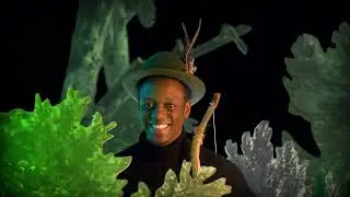 Robin Hood - Nu te zien in een theater bij jou in de buurt!