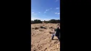 Shotgun: Running Target Practice