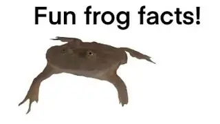 fun frog facts!