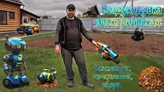 Воздуходувка электрическая DAEWOO DABL 3000E (всасывание, измельчение, обдув). Подробный обзор.
