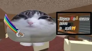 Играю в скине кота в мм2! Идея не моя @twishex #годли #мм2 #roblox #trendingshorts