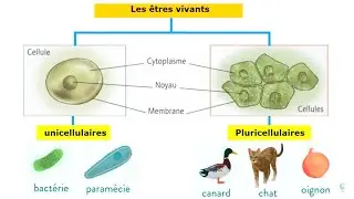 Exploration des milieux naturels 1ac