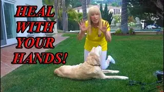 Learn Healing with your Energy - This saved my dog's life!