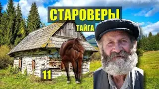 СУДЬБА КОНЮХА ДЕД в ГОРАХ СТАРОВЕРЫ РАСКОЛЬНИКИ ДОМ в ЛЕСУ ИСТОРИИ из ЖИЗНИ РАССКАЗЫ СЕРИАЛ 11