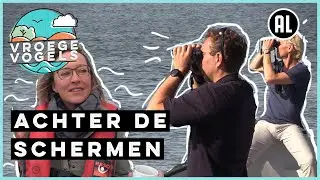 Zoektocht naar zeehonden op Texel | Achter de schermen | Vroege Vogels