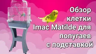 ОБЗОР Клетки Imac Matilde для ПОПУГАЕВ с подставкой !