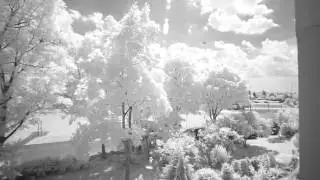 Sony A3000 after IR Conversion effects infrared video