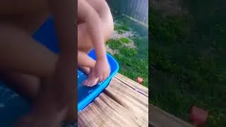 Belle arti wagneriane