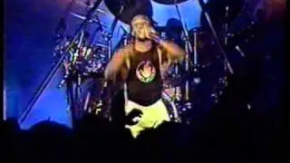Information Overload Live-Living Colour 1990