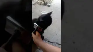 Сначала принцесса, всё остальное потом.