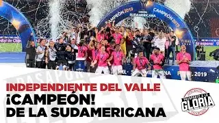 INDEPENDIENTE DEL VALLE CAMPEÓN DE LA COPA SUDAMERICANA, FESTEJOS EN LA CANCHA