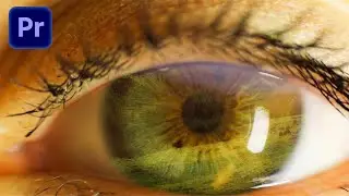 ZOOM INTO EYE Effekt erstellen | Premiere Pro Tutorial
