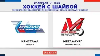 LIVE: «Кристалл» (Бердск) - «Металлург» (Новокузнецк). 27.04.2024 16:20