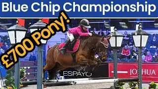 From £700 Pony to Superstar in 12 Months!