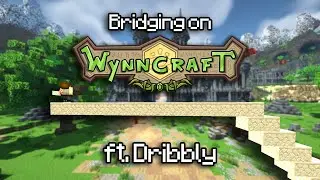Telly Bridge on Wynncraft? ft. Dribbly