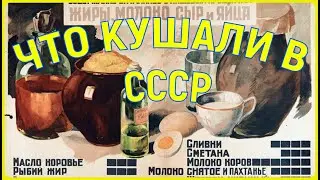 ЧТО КУШАЛИ В СССР?  1954 ГОД.