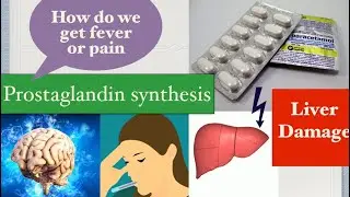 Paracetamol - Mechanism of action, toxicity, dosage || Acetaminophen